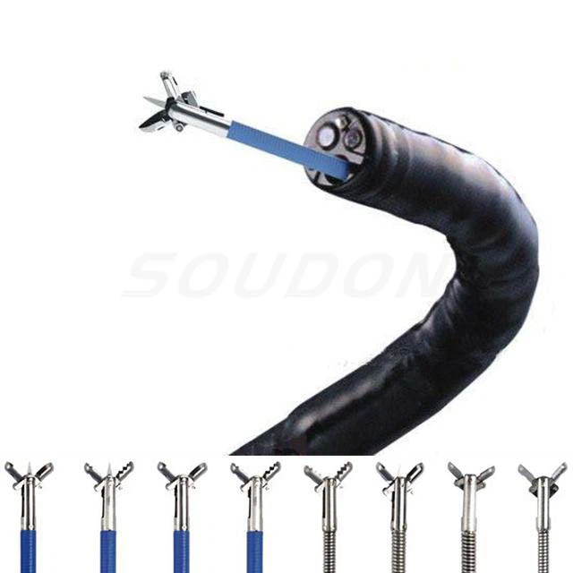 endoscopy forceps